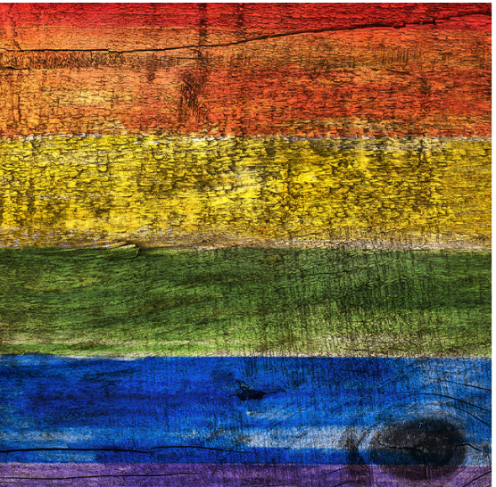 Irwin Fritchie - Diversity Pride Flag Board - 556x546